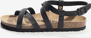 Bayton Sandalen met riem in Zwart: voorkant