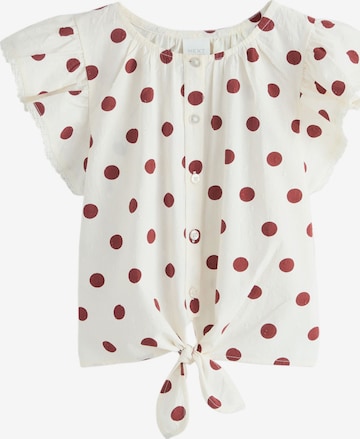 Chemisier Next en beige : devant