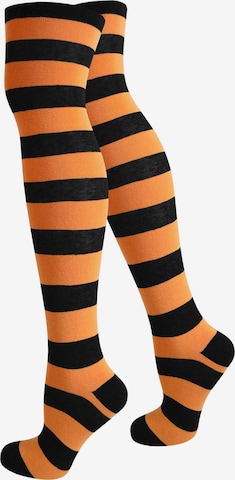 Chaussettes montantes normani en orange : devant