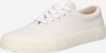 TOMS Sneakers laag 'ALPARGATA FENIX LACE UP' in Wit: voorkant
