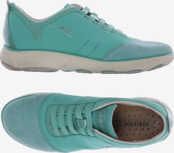 GEOX Sneakers & Trainers in 35 in Green: front