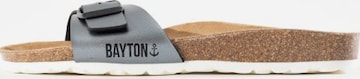 Mule 'Zephyr' Bayton en gris : devant