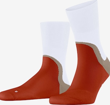 FALKE Socks 'Run Special Edition' in Grey: front