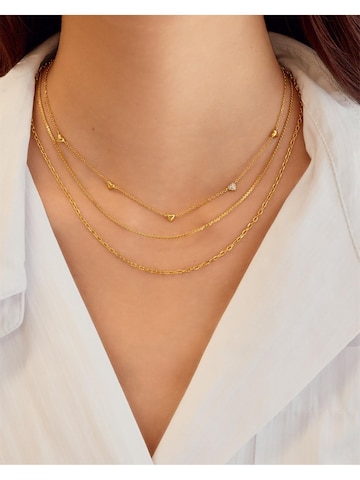 ANIA HAIE Necklace in Gold: front