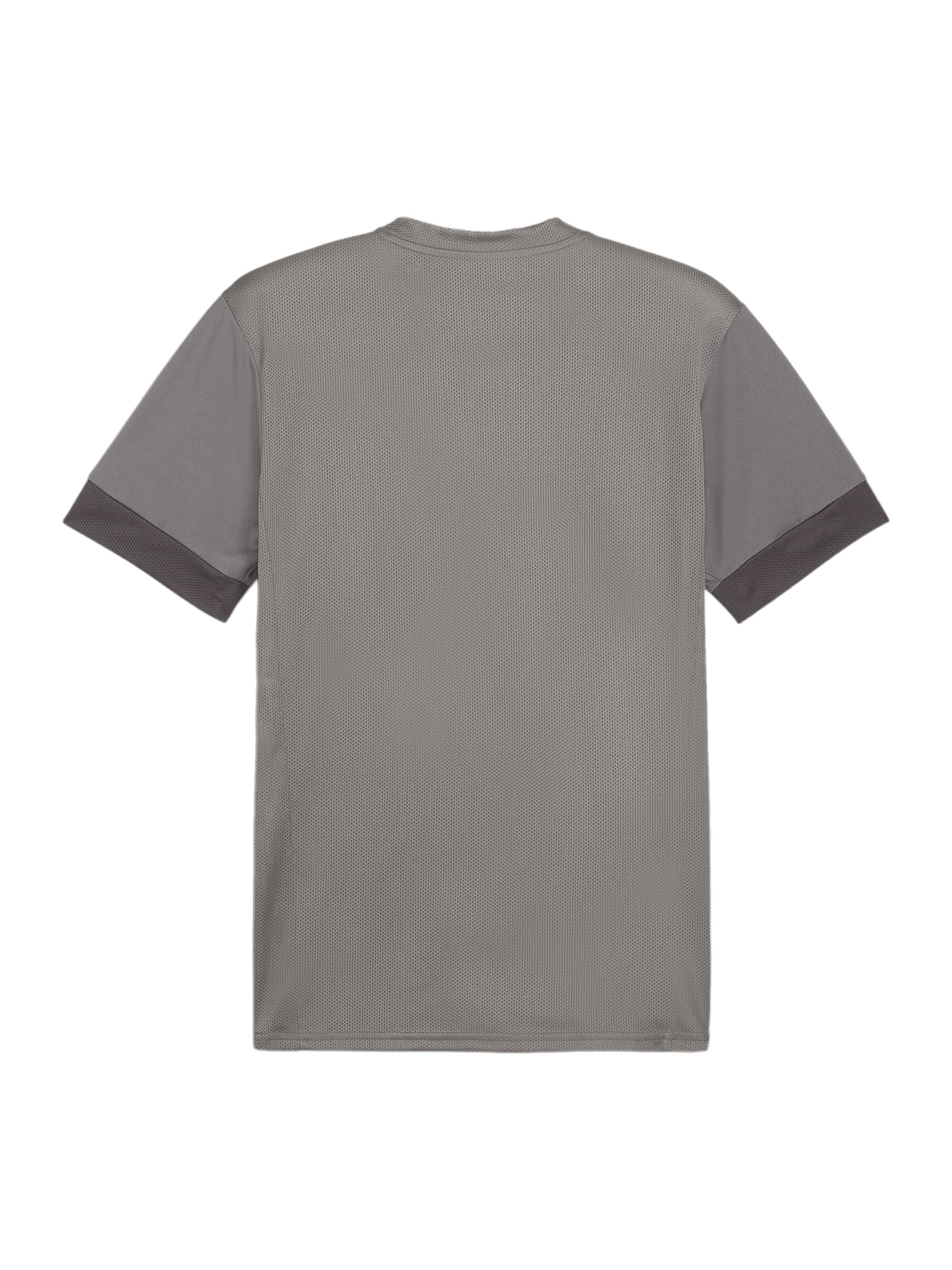 PUMA Performance Shirt in Grey