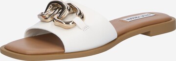 STEVE MADDEN Mule 'GENE' in White: front