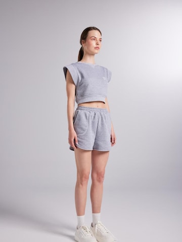 HOLLY LOLLY Sweatshirt in Grijs