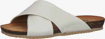 IGI&CO Mules in White: front