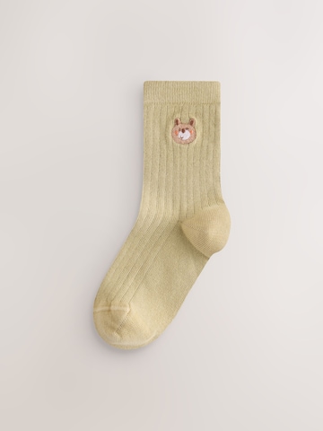 Chaussettes 'Rich' Next en marron