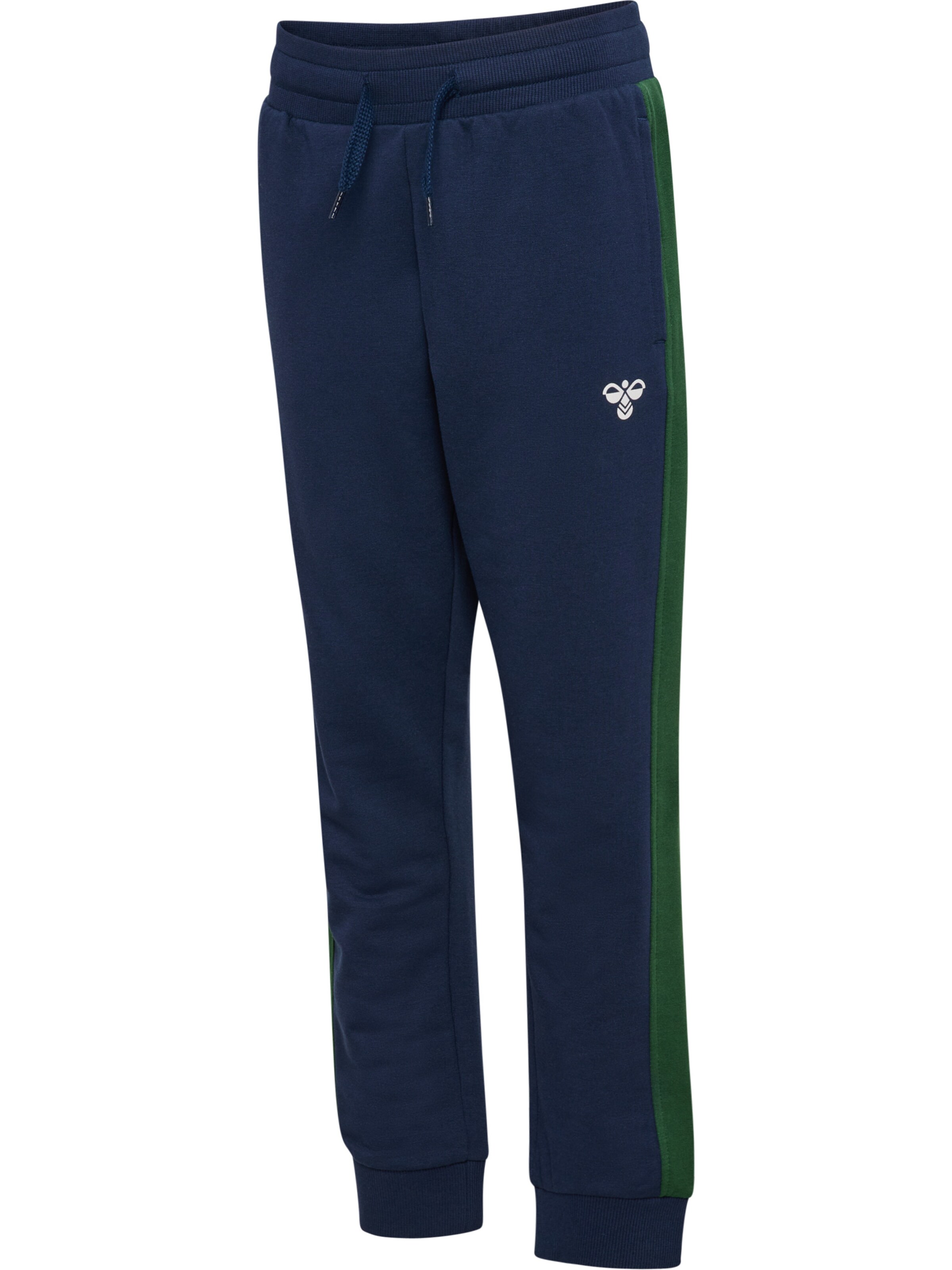 Hummel Tapered Pants 'Essen' in Blue