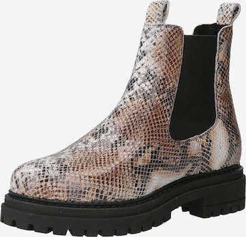 Ca'Shott Chelsea boots 'ANNAH' i blandade färger: framsida