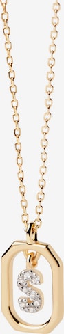 P D PAOLA Necklace in Gold: front