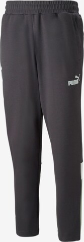 Regular Pantalon de sport 'Borussia Mönchengladbach' PUMA en gris : devant