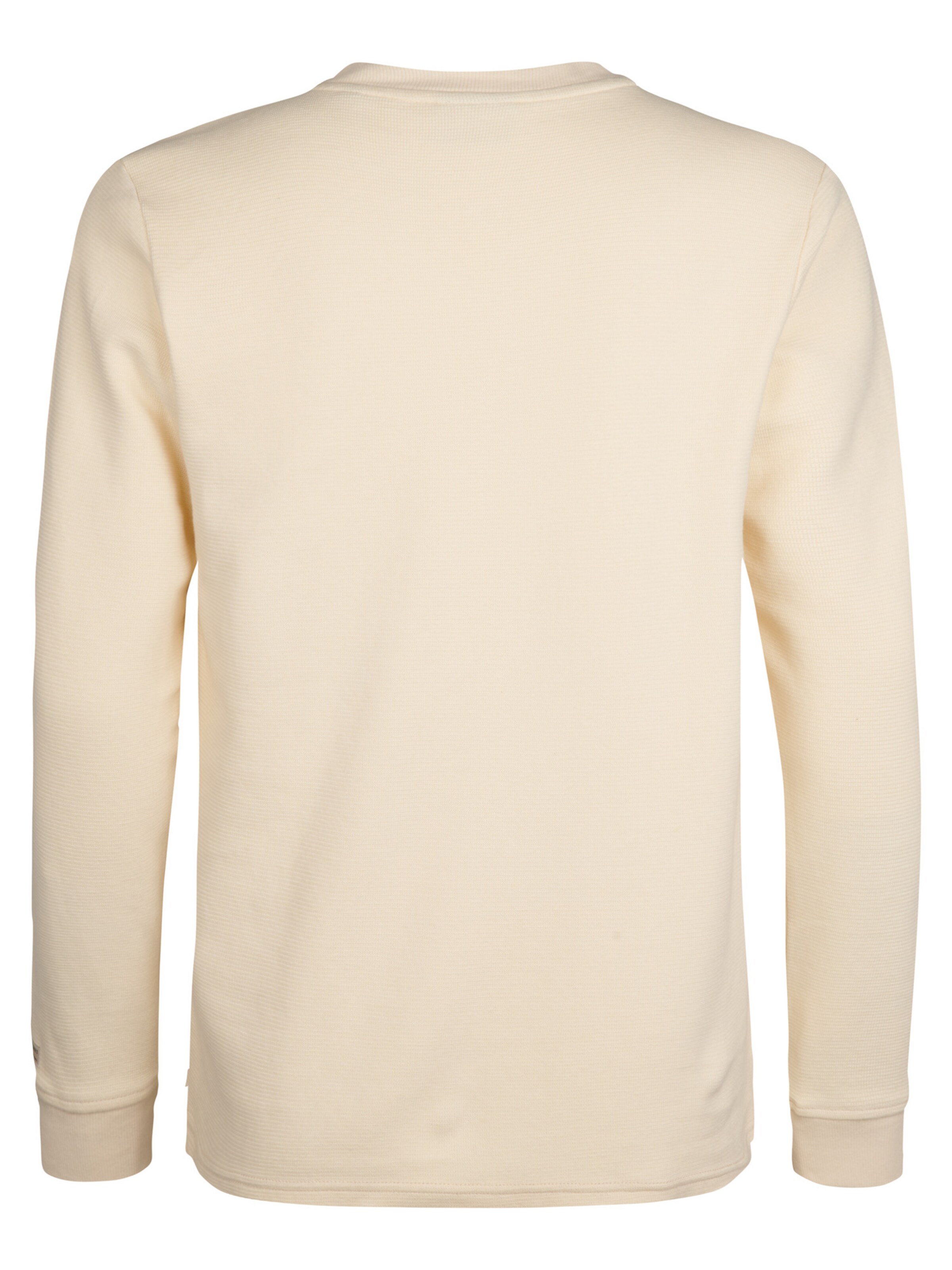 Petrol Industries Shirt in Beige