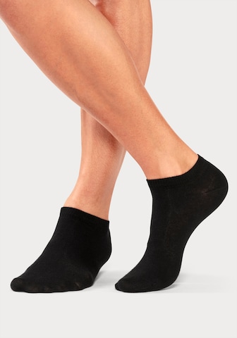 BENCH Socks in Black
