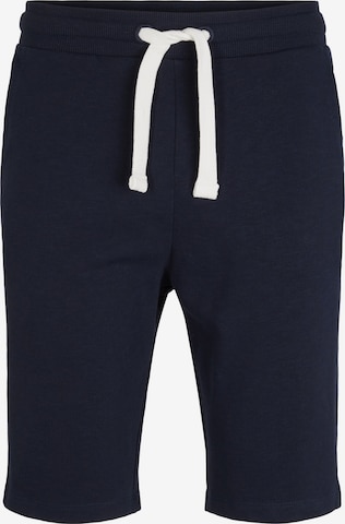 TOM TAILOR tavaline Püksid, värv sinine: eest vaates