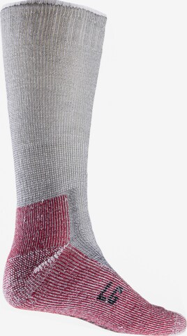 Smartwool Sportsocken in Grau