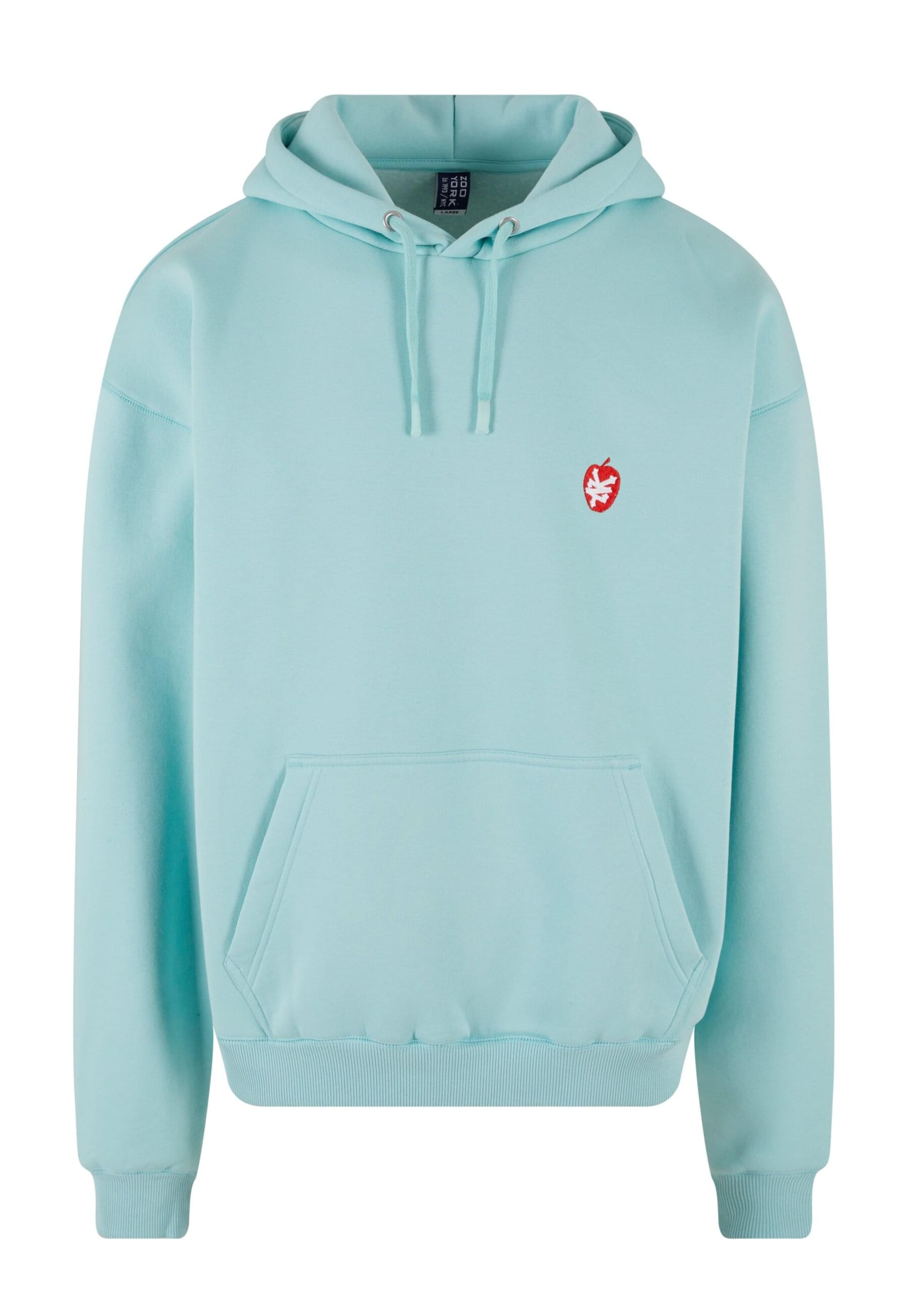 Felpa 'ZM243-039-2' di ZOO YORK in verde: frontale