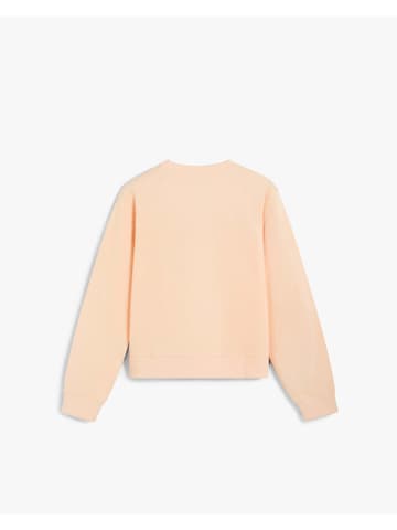 Scalpers Μπλούζα φούτερ σε πορτοκαλί