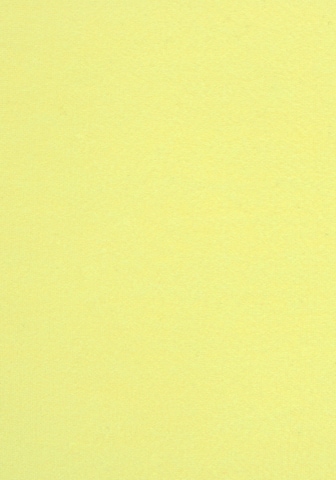 VENICE BEACH tavaline Bikiinipüksid, värv kollane