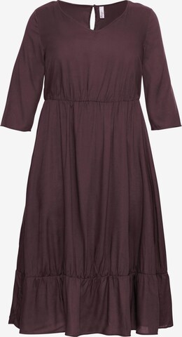 SHEEGO Dress in Brown: front