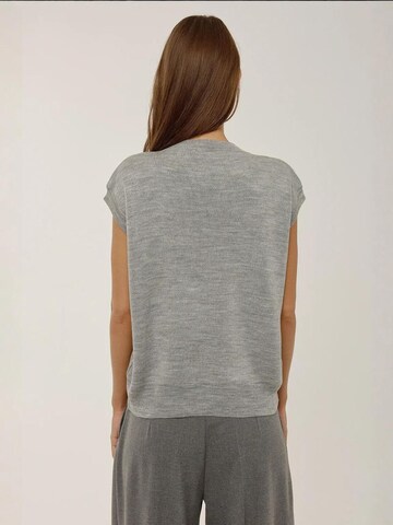 Hiccup - Pullover em cinzento