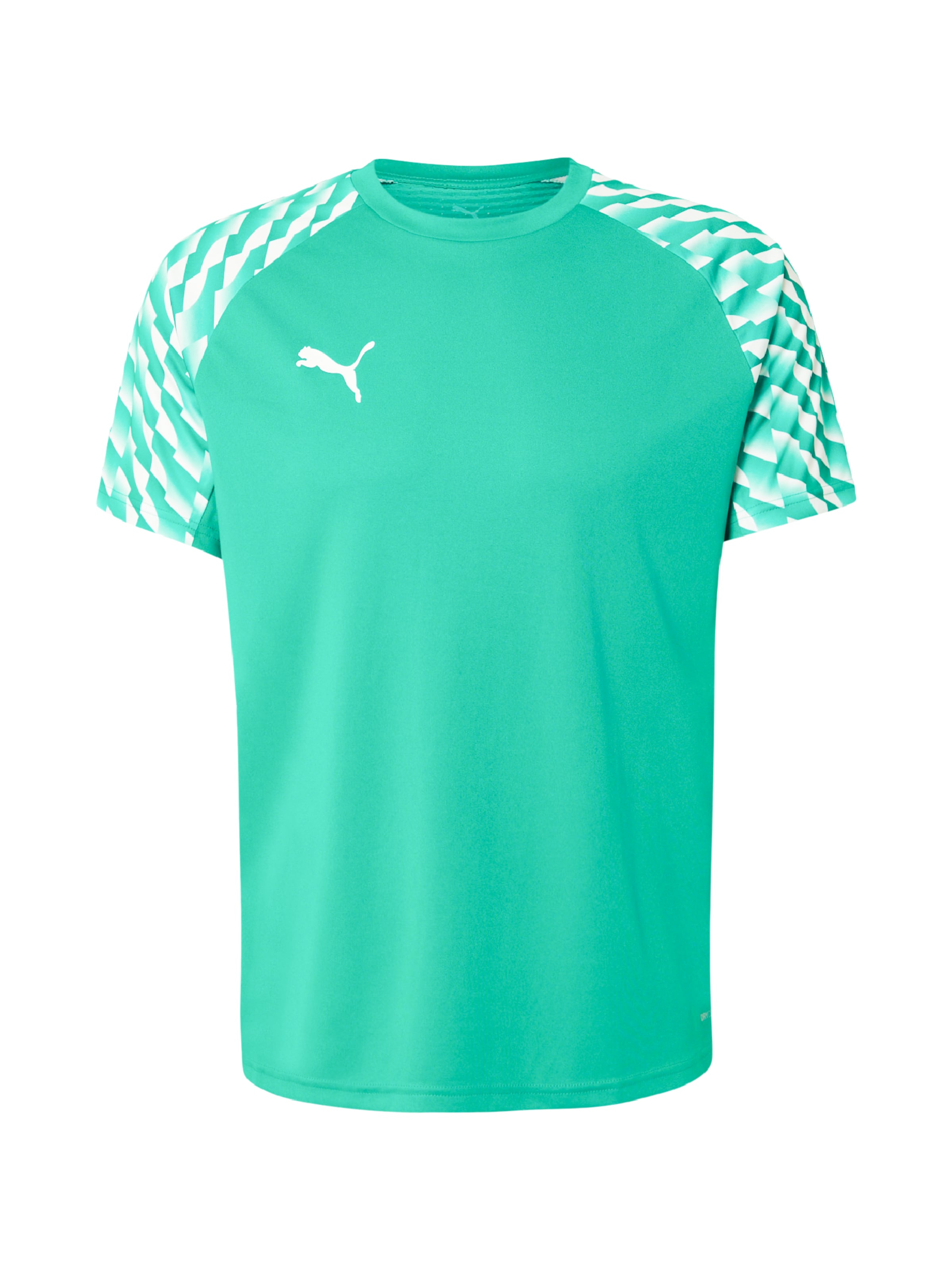 PUMA Funkcionális felső 'teamLIGA26' - zöld: elől