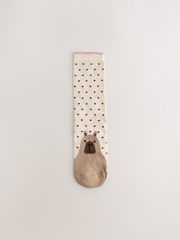 Next Socken in Beige