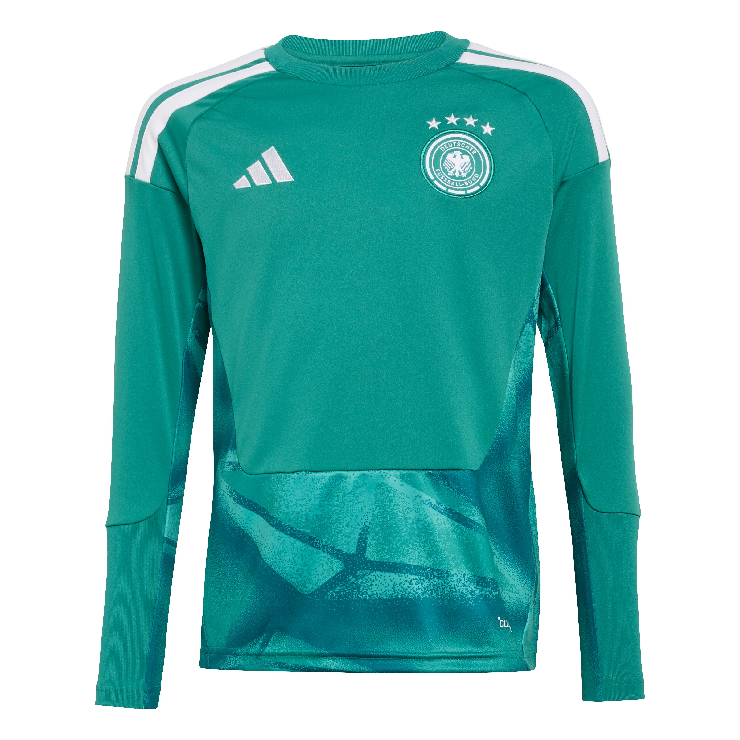 ADIDAS PERFORMANCE - Camiseta funcional 'DFB H GK JSY' en verde: frente