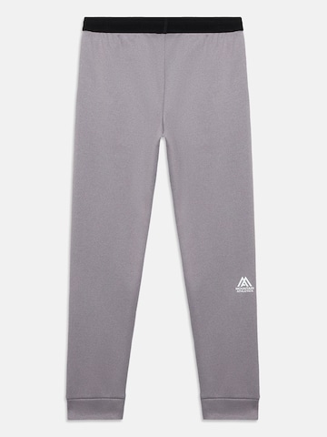 THE NORTH FACEregular Sportske hlače 'MOUNTAIN ATHLETICS' - siva boja