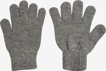Hummel Gloves in Grey