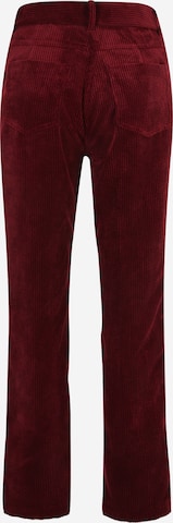 Regular Pantalon à plis MORE & MORE en rouge