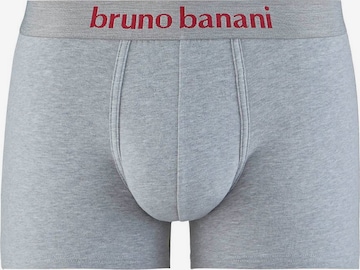 BRUNO BANANI Boxer shorts in Grey