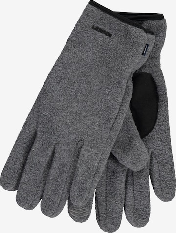 LERROS Fingerhandschuhe in Grau: Vorderseite