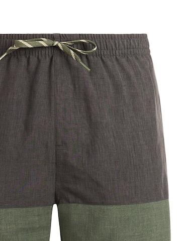 PROTEST Board Shorts 'PRTCabus' in Green