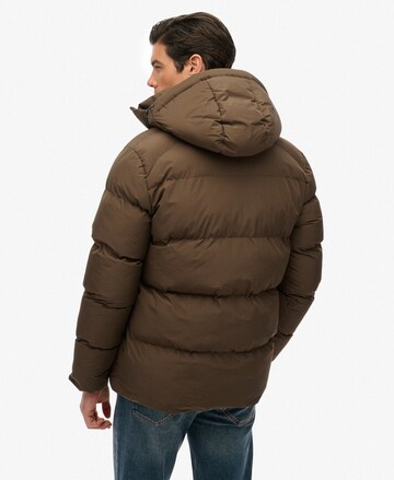 Superdry Tussenjas in Bruin