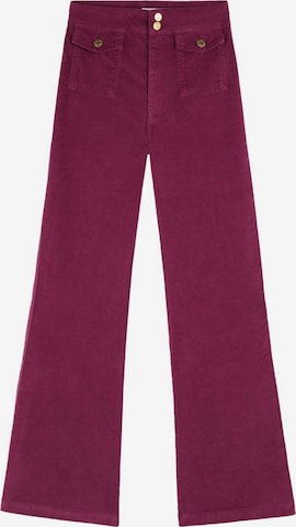 Scalpers Boot cut Trousers in Pink: front