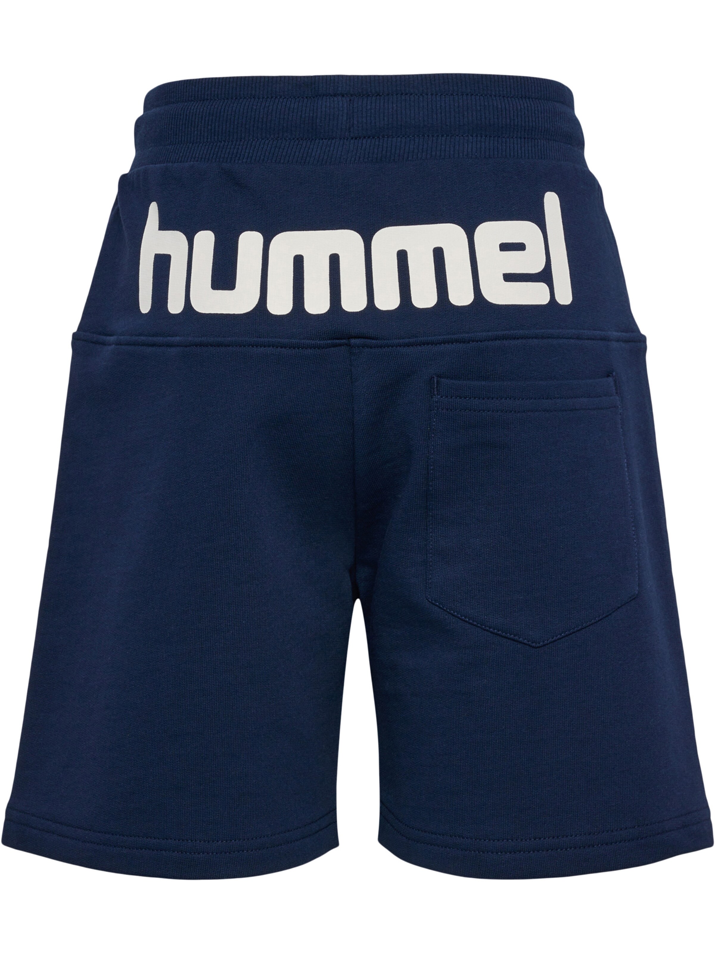 Hummel Regular Pants in Blue
