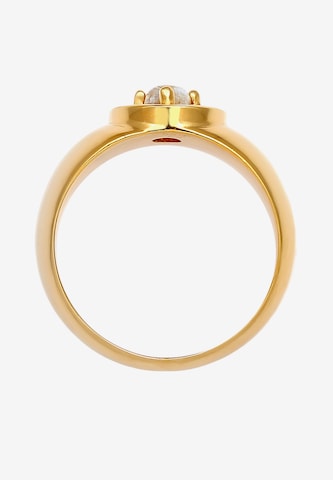 ELLI PREMIUM Ring Siegelring in Gold