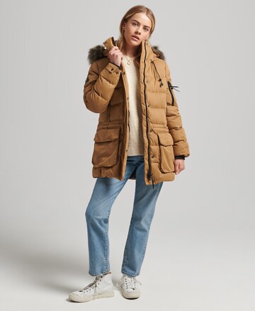 Superdry Winterjas in Bruin