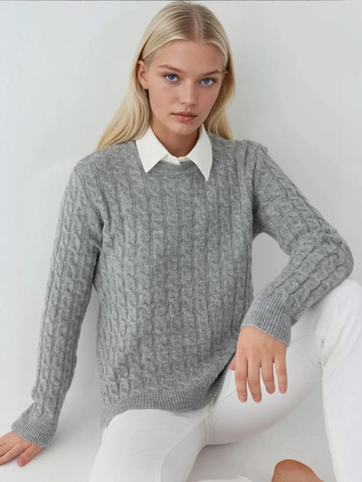 Hiccup Pull-over 'Pullover' en S en gris, Vue avec produit