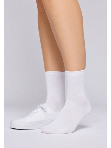 Calza velata di Betty Barclay in bianco