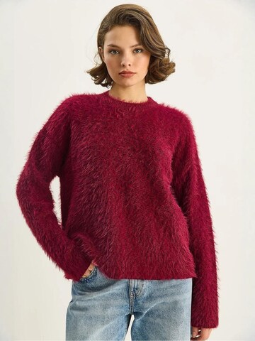 Bianco Lucci Pullover in Rot