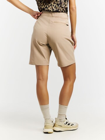 Regular Pantalon 'PRTYaku' PROTEST en marron