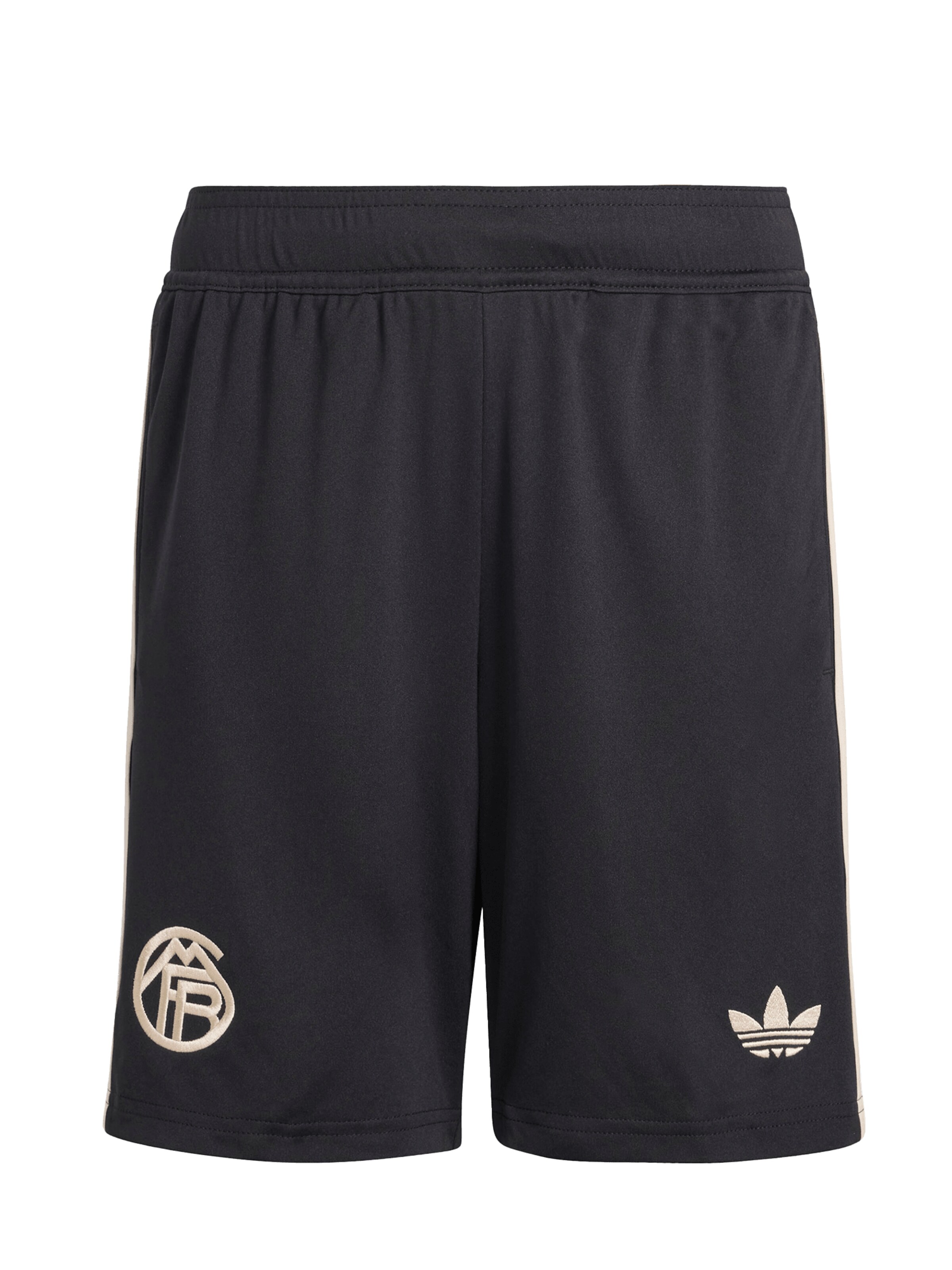 ADIDAS ORIGINALS Normalny krój Spodnie 'FC Bayern 25/26' w kolorze czarny: przód