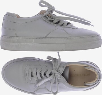 Axel Arigato Sneakers & Trainers in 37 in Grey: front