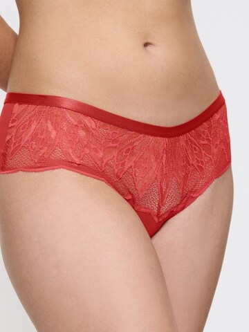 TRIUMPH Slip 'Crazy Stupid Love' in Oranje