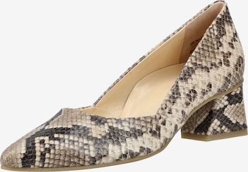 Décolleté di Paul Green in beige: frontale