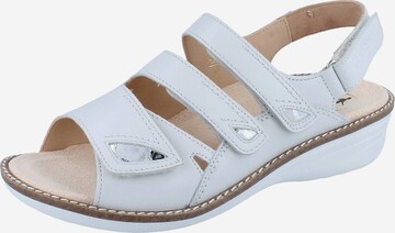 Ganter Sandals in White: front