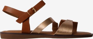 Sandales 'Flache Sandalen mit Riemchen' POTI PATI en marron : devant